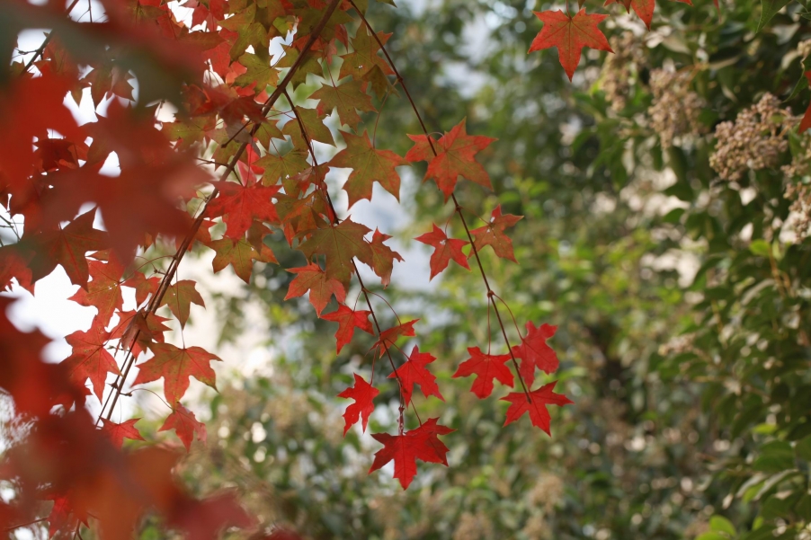 调整大小 IMG_0612.jpg