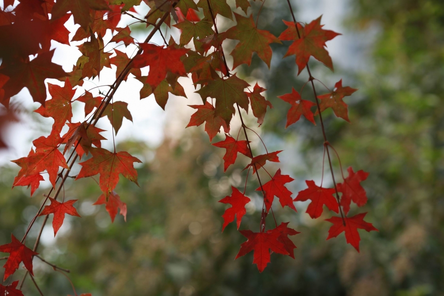 调整大小 IMG_0632.jpg