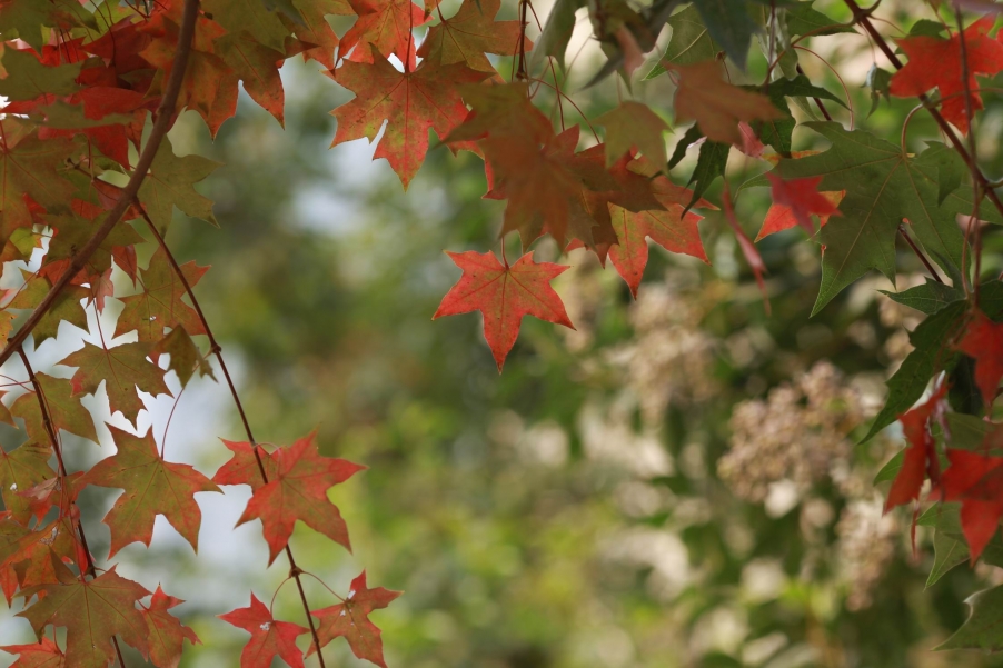 调整大小 IMG_0640.jpg