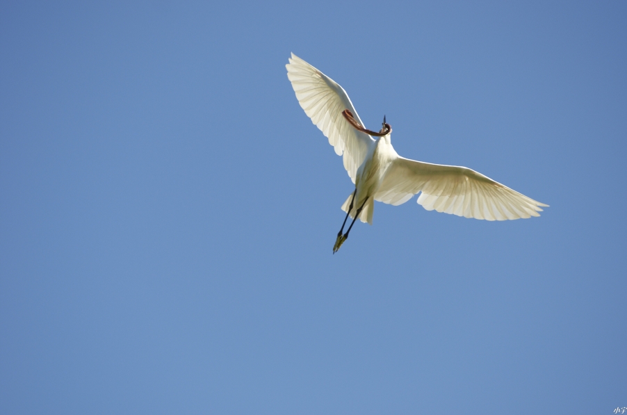 嘴上衔的是拉链