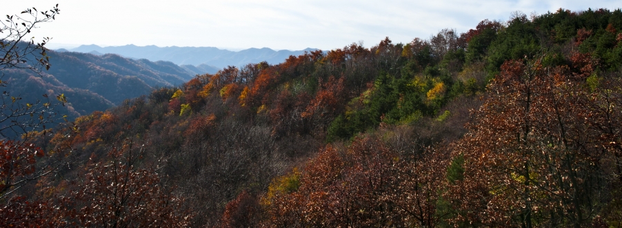 DSC_3648.JPG