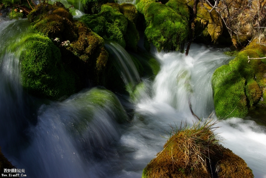 《奔流小溪》.jpg