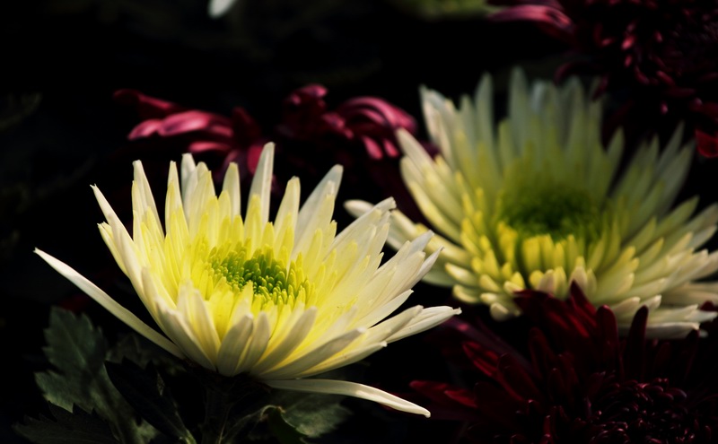 调整大小 _MG_7759@.JPG