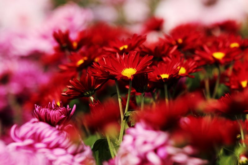 调整大小 _MG_7656@.JPG