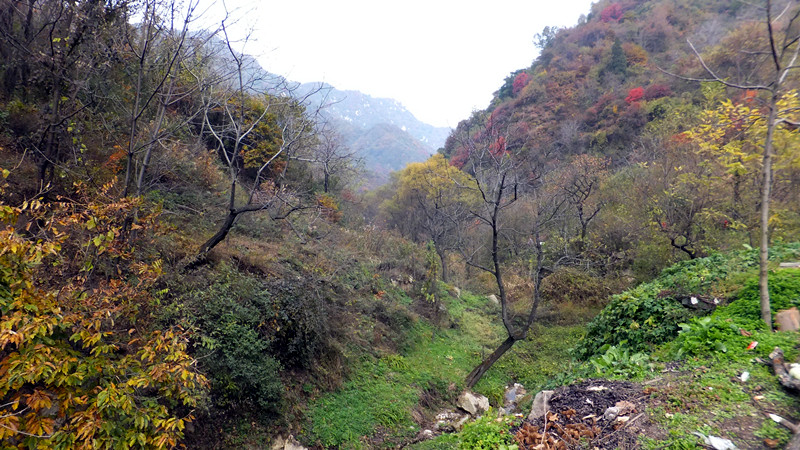 dscf7243_副本.jpg