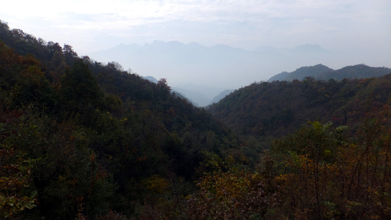 dscf7294_副本.jpg