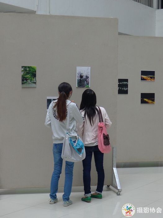 P1030705.jpg