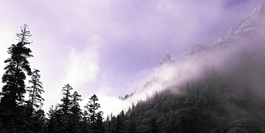 L1021624.jpg
