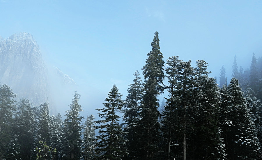 L1021632.jpg