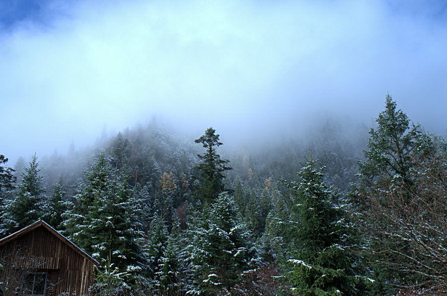 L1021658.jpg