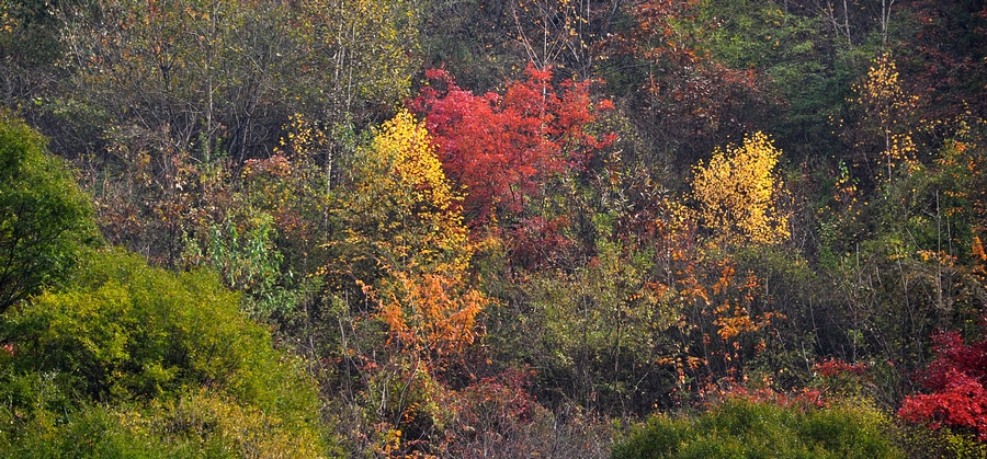 DSC_0049.jpg