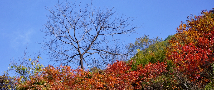 DSC_0300.jpg