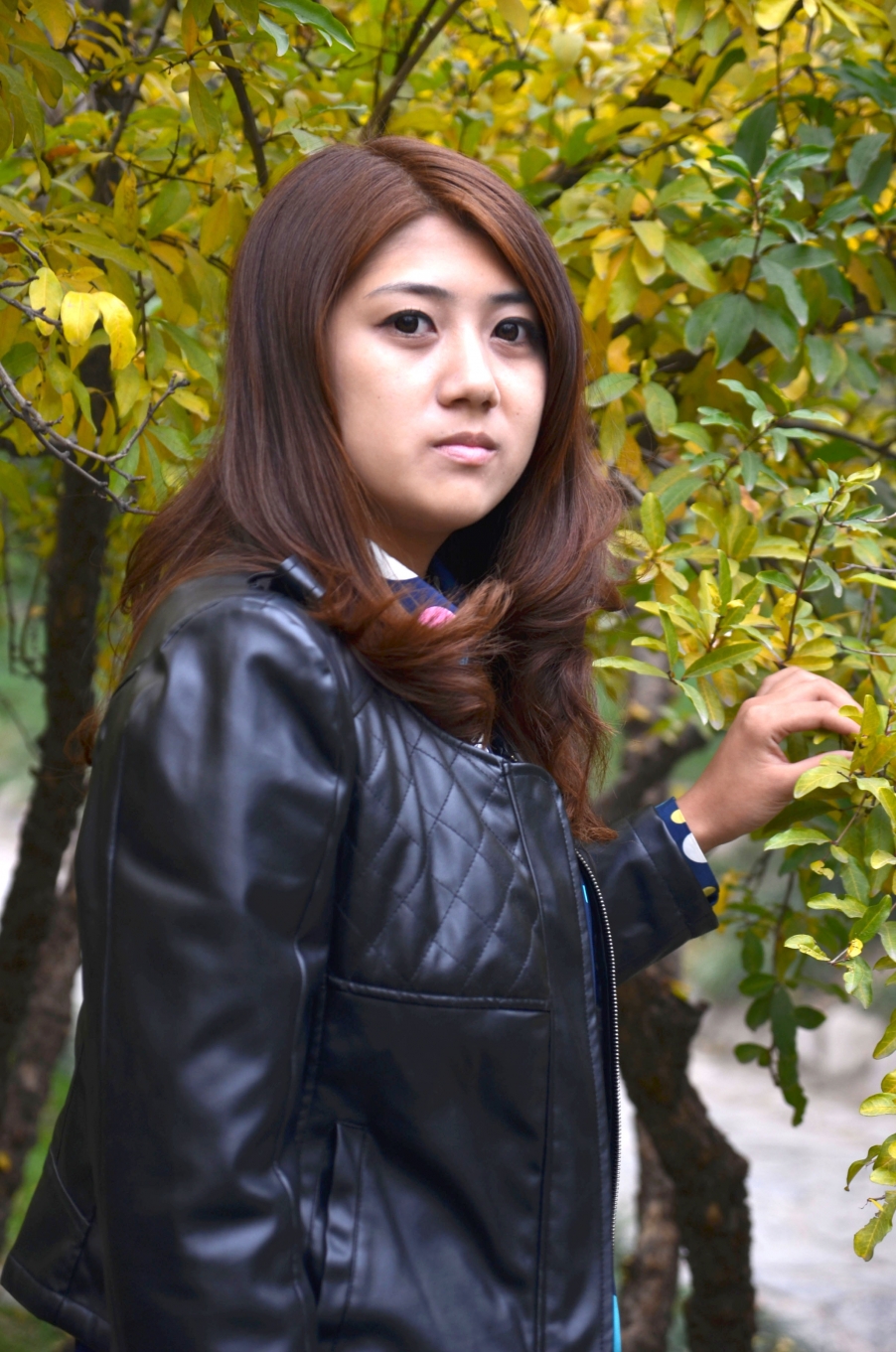 DSC_1549.JPG