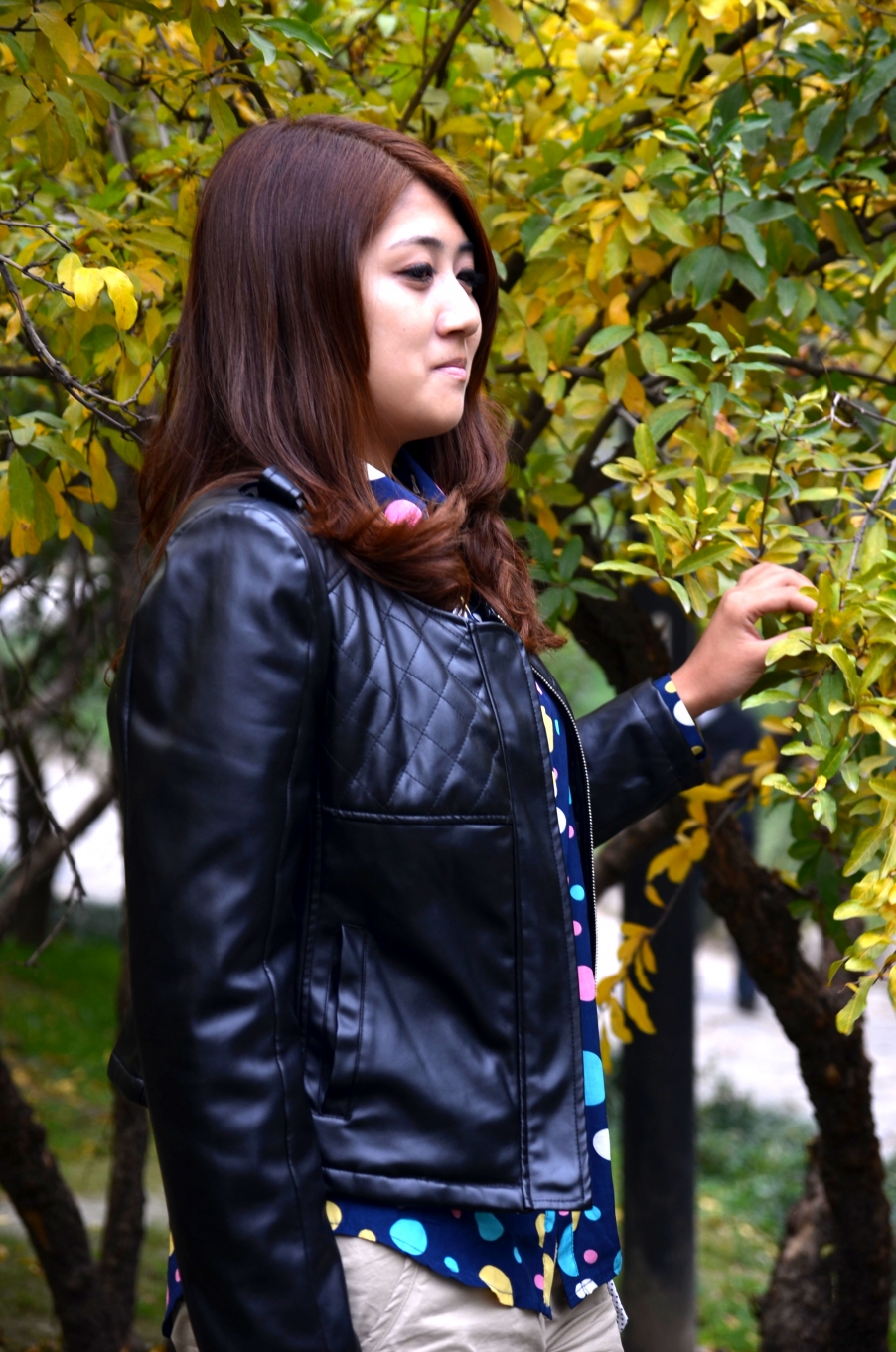 DSC_1554.JPG