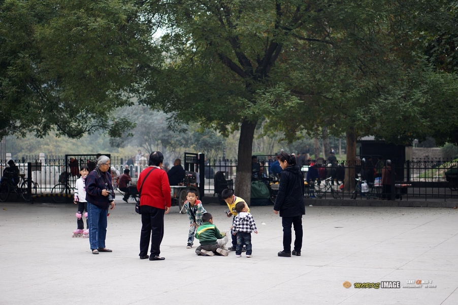 DSC07785a.jpg