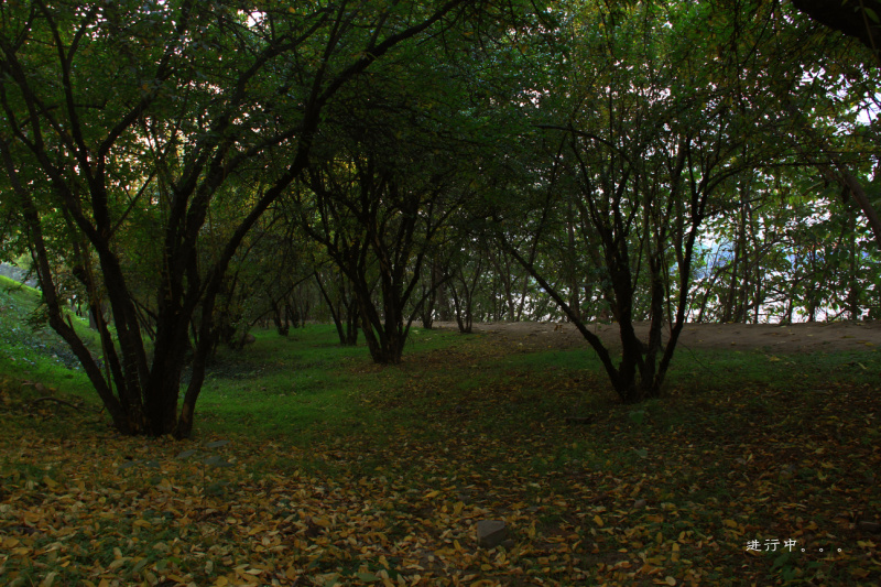 IMG_0049.jpg