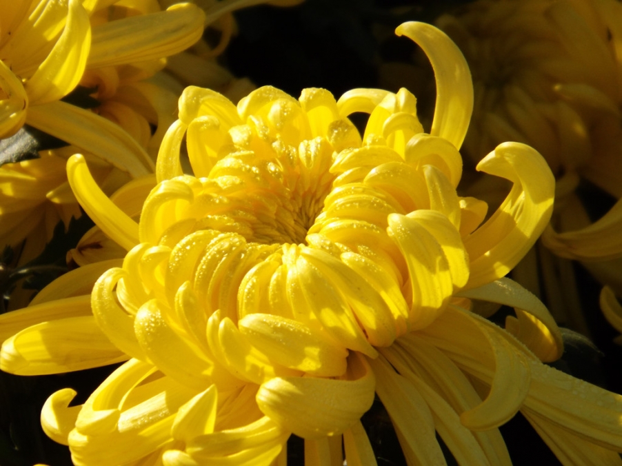 照片 008_副本.jpg