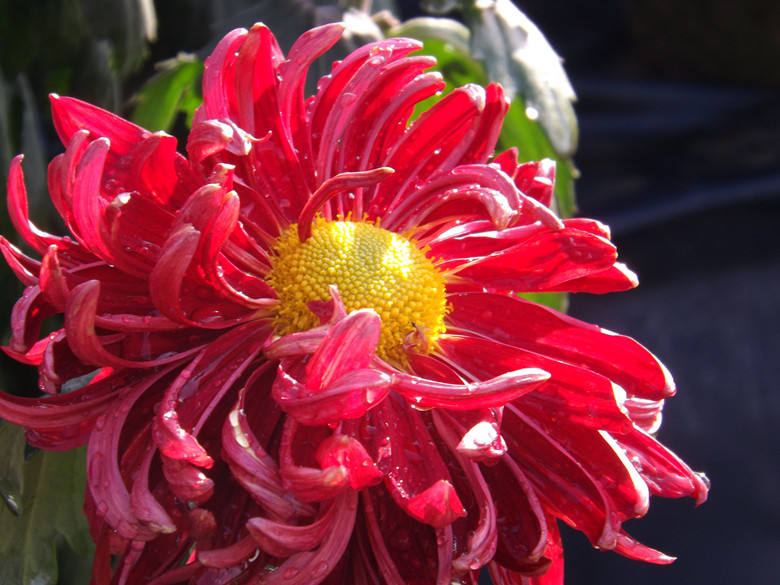 照片 012_副本.jpg