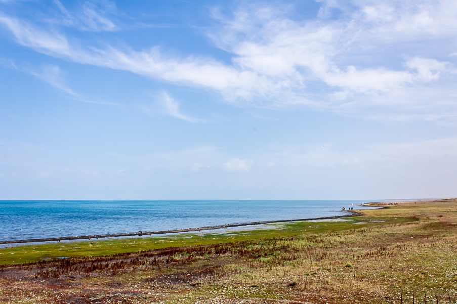 (2012-10-05)青海湖18.JPG
