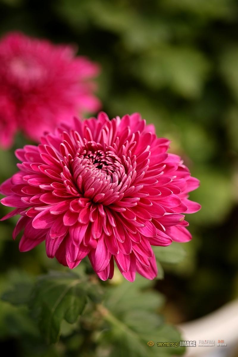 DSCF3906a - 副本.jpg