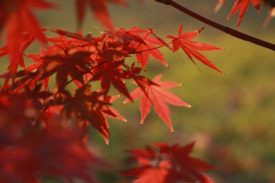 调整大小 IMG_1214.jpg