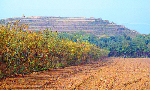 DSC09228_副本_副本.jpg