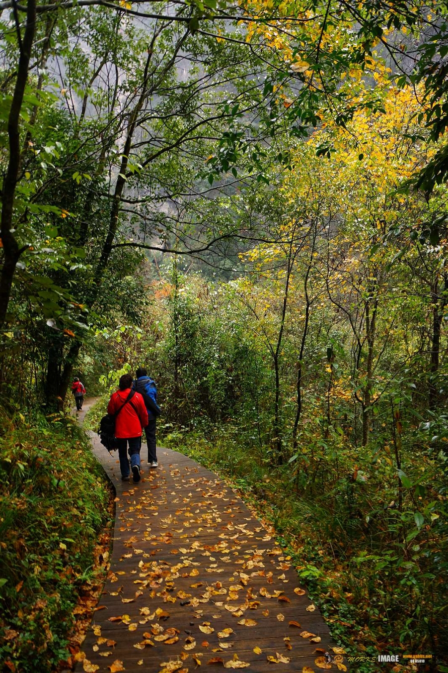 DSC08804a.jpg