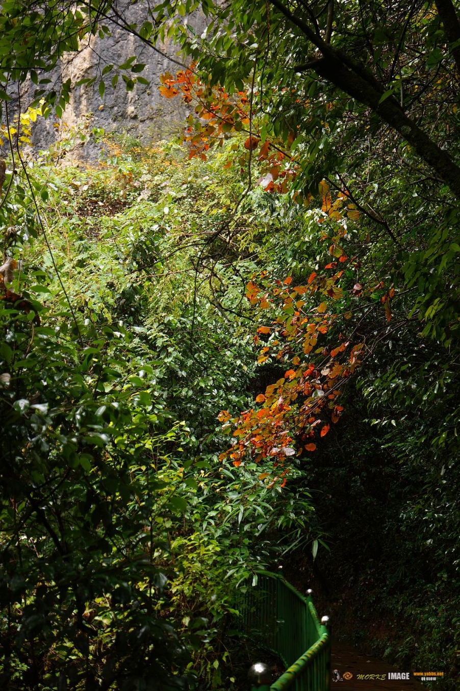 DSC08898a.jpg