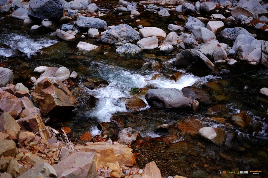 DSCF4223a.jpg