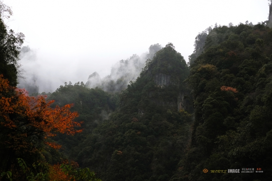 DSCF4407a.jpg