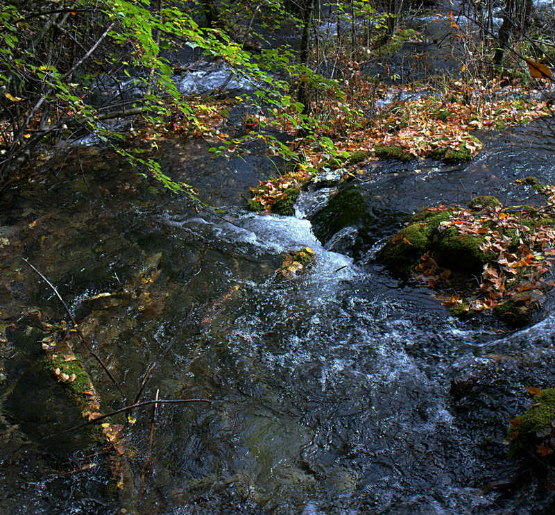 L1021809.jpg