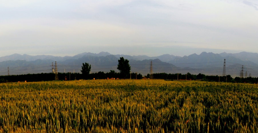 终南山下的秦川