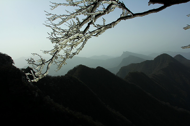 IMG_5990_副本.jpg