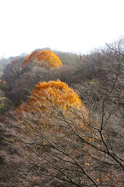 IMG_6009_副本.jpg