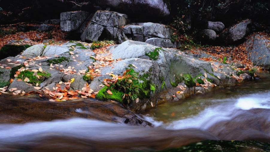 DSC_01460gs.jpg