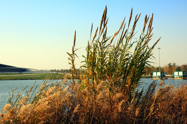 conew_img_7408_副本.jpg
