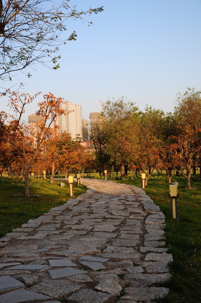 DSC_0042-1.jpg