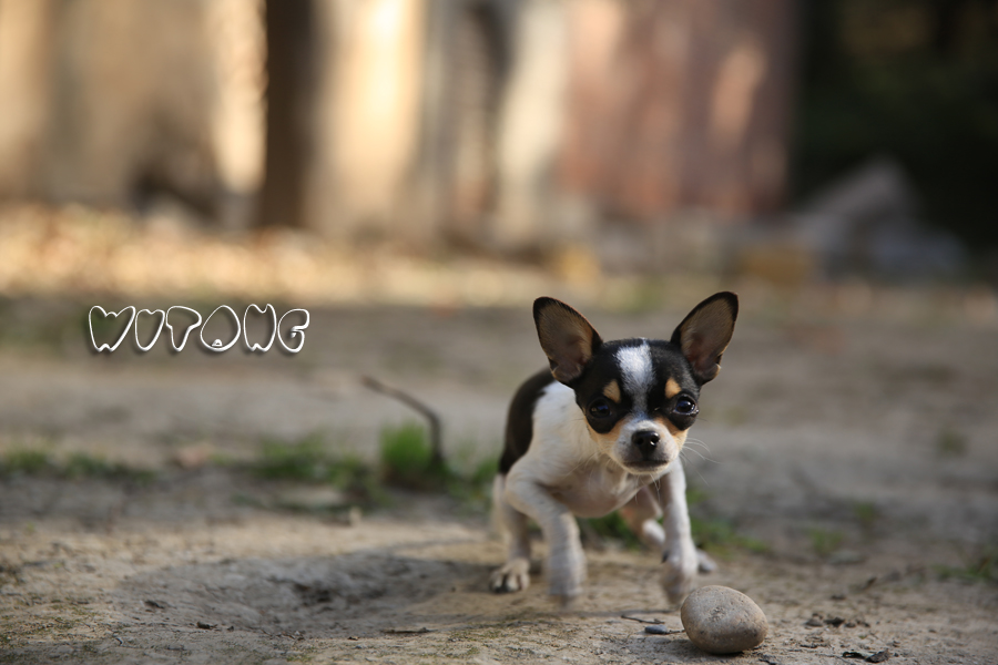 照片 052副本1.jpg