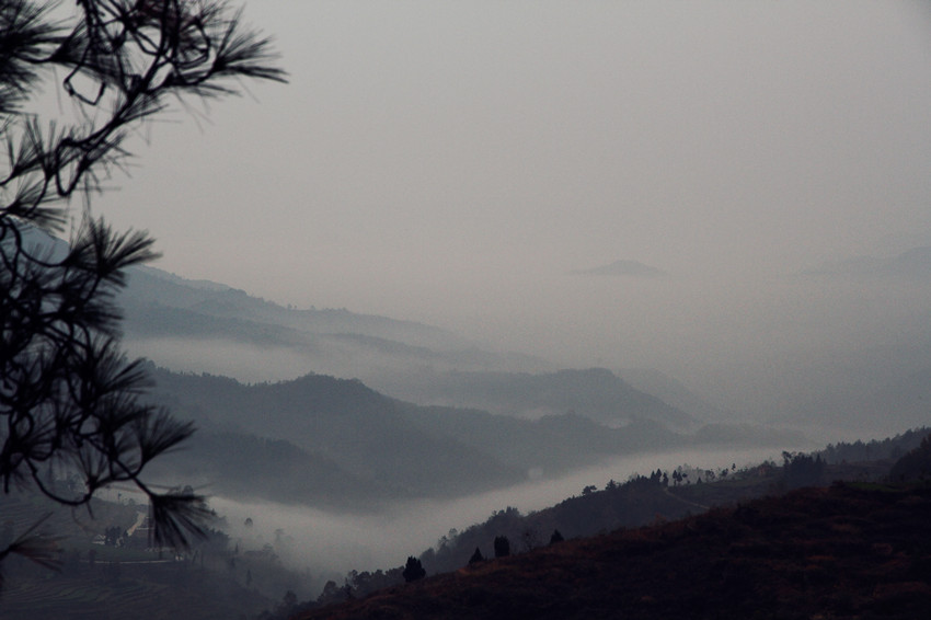 凤凰岭 072_副本.jpg