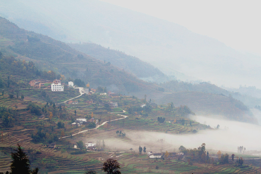 凤凰岭 084_副本_副本.jpg