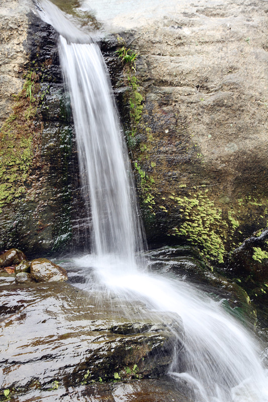 凤凰岭 165_副本.jpg