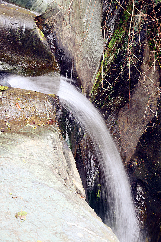 凤凰岭 172_副本.jpg