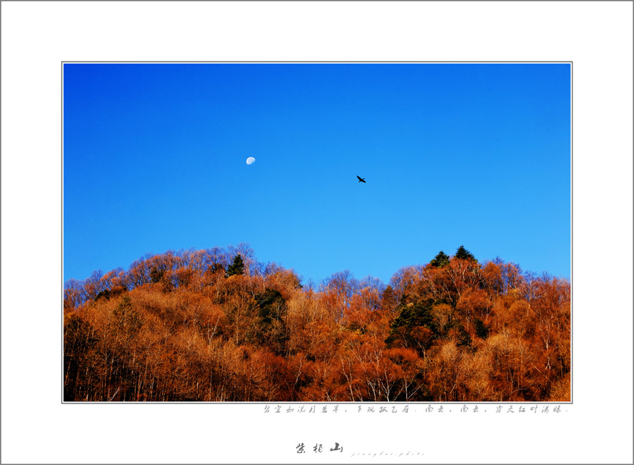 晴空碧如洗，看见南飞雁。.jpg