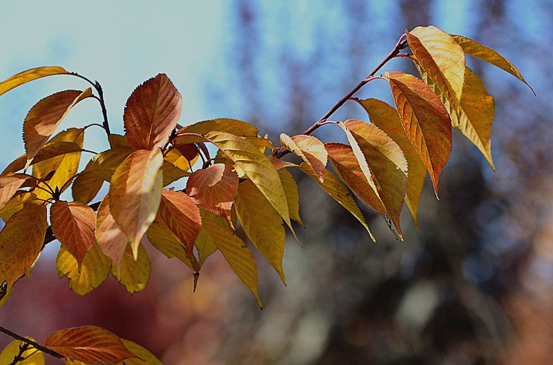 照片 029_副本.jpg