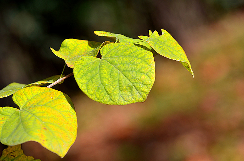 照片 031_副本.jpg