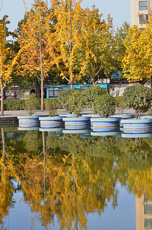 照片 056_副本.jpg