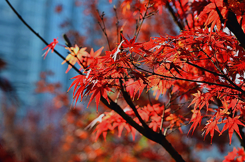 照片 089_副本.jpg