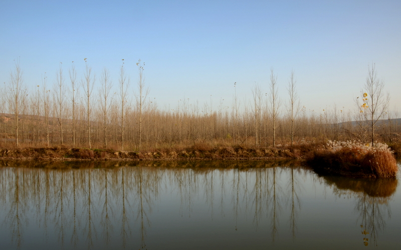 DSC_0997.jpg