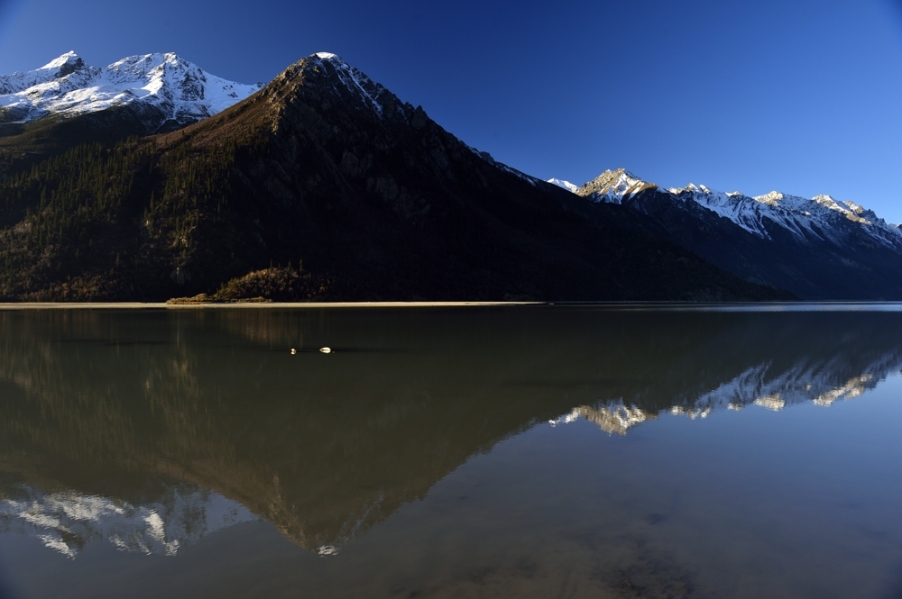 _DSC5957.jpg