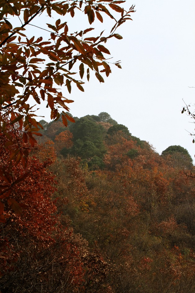 秦岭山水 036.jpg